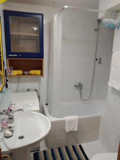 Alex Apartment Zemun المظهر الخارجي الصورة