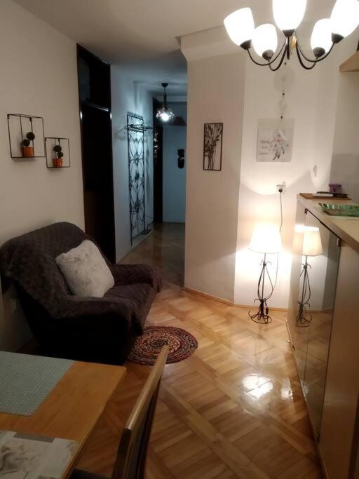 Alex Apartment Zemun المظهر الخارجي الصورة